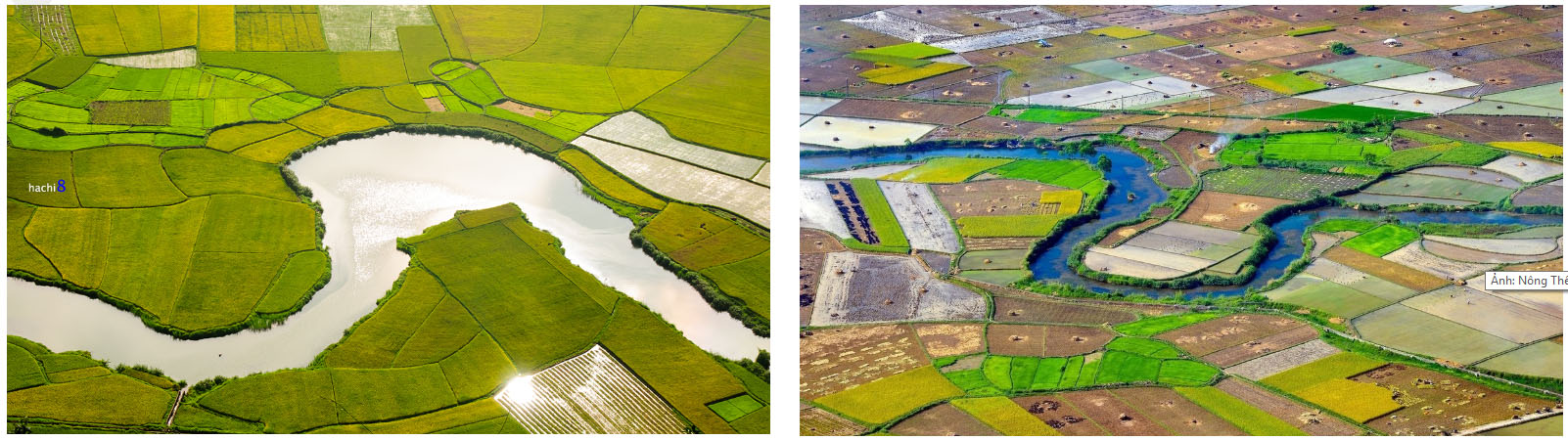 Hai ngày săn ảnh mùa vàng Bắc Sơn ảnh 5 Hai ngày săn ảnh mùa vàng Bắc Sơn