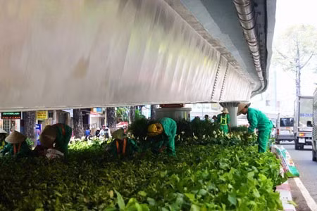 Cầu vượt chữ Y độc nhất Việt Nam trước giờ khánh thành ảnh 11