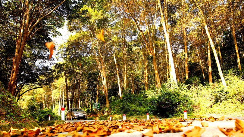 Khám phá 4 tọa độ sống ảo đầy thơ mộng ở xứ Nghệ