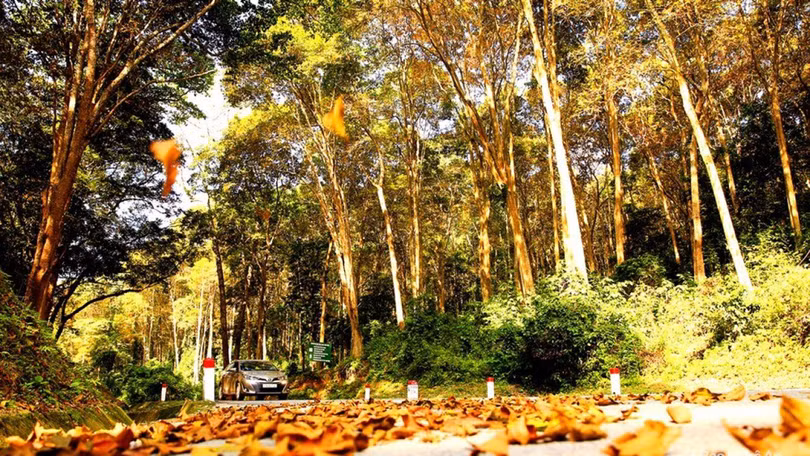 Khám phá 4 tọa độ sống ảo đầy thơ mộng ở xứ Nghệ