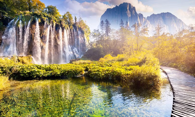 Nơi gấu tấn công người và những điểm check-in nguy hiểm nhất thế giới