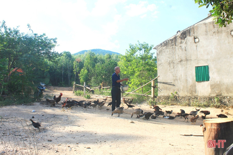 Cựu binh Hà Tĩnh gần 30 năm lặng lẽ gác rừng ảnh 3 Cựu binh Hà Tĩnh gần 30 năm lặng lẽ gác rừng