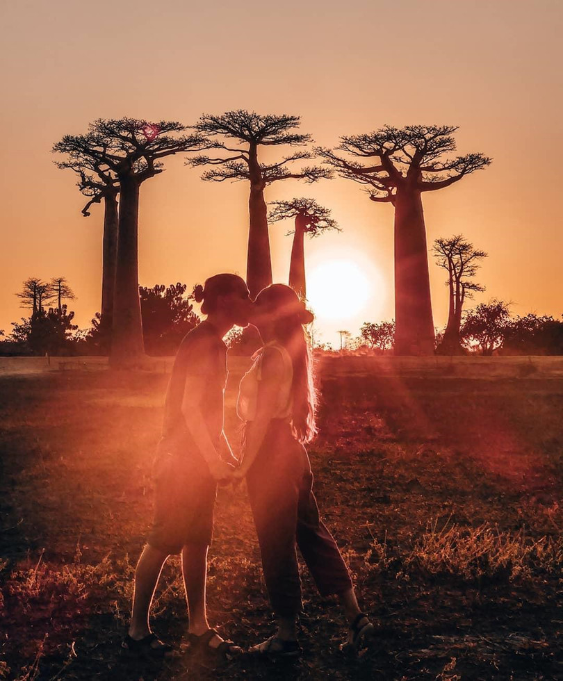 Kỳ lạ đại lộ "cây lộn ngược" như đường dẫn tới hành tinh khác ảnh 14 Kỳ lạ đại lộ “cây lộn ngược” như đường dẫn tới hành tinh khác