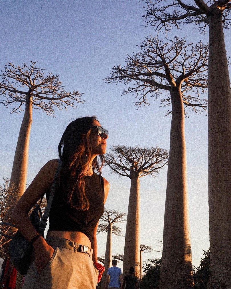 Kỳ lạ đại lộ "cây lộn ngược" như đường dẫn tới hành tinh khác ảnh 8 Kỳ lạ đại lộ “cây lộn ngược” như đường dẫn tới hành tinh khác