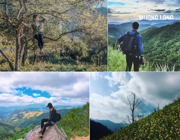 Khám phá 4 tọa độ sống ảo đầy thơ mộng ở xứ Nghệ