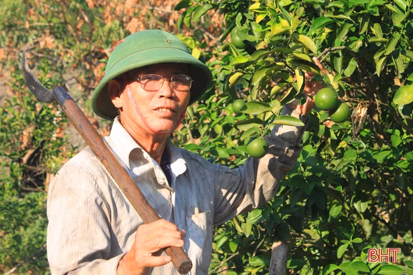 Cựu binh Hà Tĩnh gần 30 năm lặng lẽ gác rừng