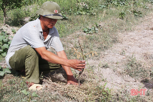 Nắng nóng kéo dài, người dân Kỳ Tây khổ sở xách xô đi xin nước