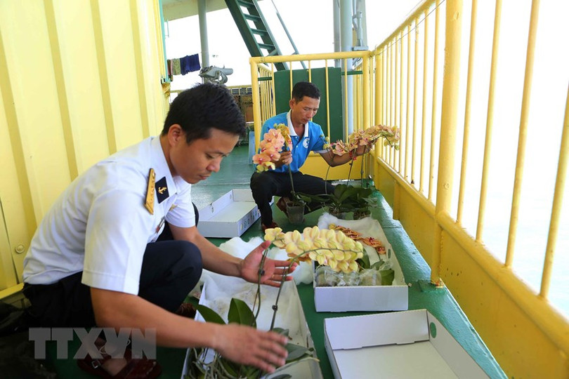 Hình ảnh nhà giàn DK1 vững vàng nơi đầu sóng ngọn gió