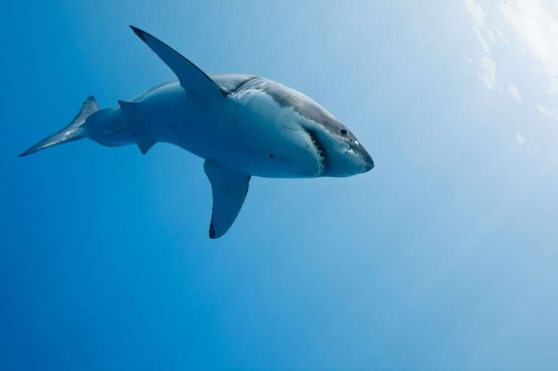 9 chuyến phiêu lưu cảm giác mạnh nhất hành tinh ảnh 1 9 chuyến phiêu lưu cảm giác mạnh nhất hành tinh