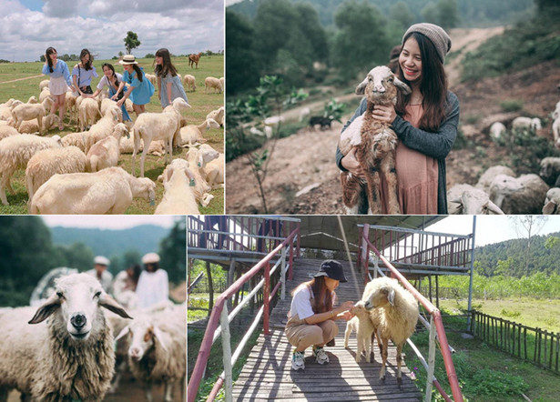 Khám phá 4 tọa độ sống ảo đầy thơ mộng ở xứ Nghệ