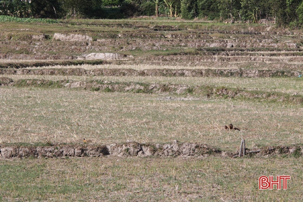 Nắng nóng kéo dài, người dân Kỳ Tây khổ sở xách xô đi xin nước