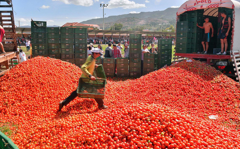 Bơi giữa “cơn lũ” cà chua trong lễ hội độc đáo ở Tây Ban Nha