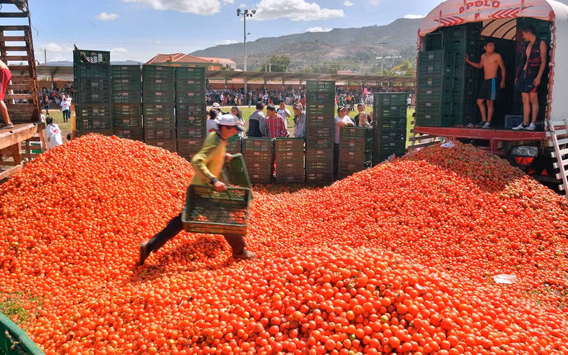 Bơi giữa “cơn lũ” cà chua trong lễ hội độc đáo ở Tây Ban Nha