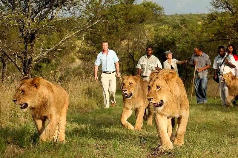 9 chuyến phiêu lưu cảm giác mạnh nhất hành tinh ảnh 3 9 chuyến phiêu lưu cảm giác mạnh nhất hành tinh