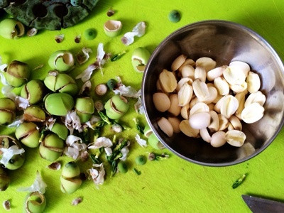 Canh tôm nấu củ sen thanh mát giúp ngủ ngon mùa nóng