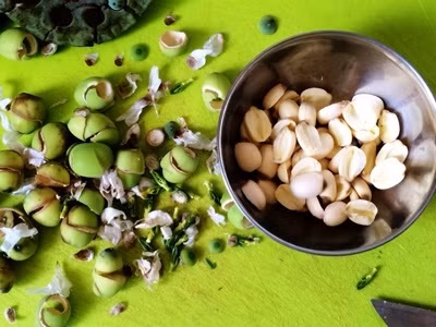 Canh tôm nấu củ sen thanh mát giúp ngủ ngon mùa nóng