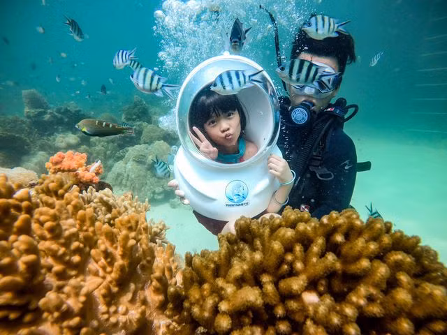 5 điểm ngắm san hô đẹp nhất Việt Nam, phải khám phá một lần trong đời