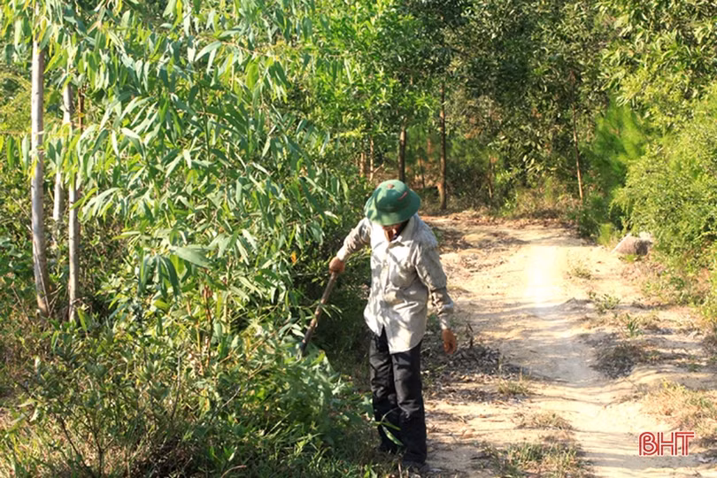 Cựu binh Hà Tĩnh gần 30 năm lặng lẽ gác rừng