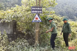 Siết chặt biện pháp phòng, chống cháy rừng ven sông Ngàn Phố
