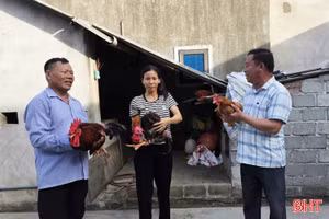 Giúp người nghèo ở Đông Kinh cải thiện cuộc sống