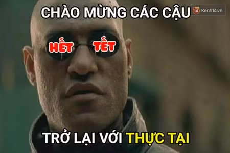 Hết tết rồi sao! ảnh 7