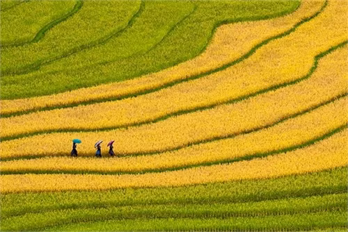 Nếu có thể đi dài ngày thì các địa danh như Sapa, Tây Bắc, Sơn La ở các tỉnh phía Bắc là nơi thích hợp.