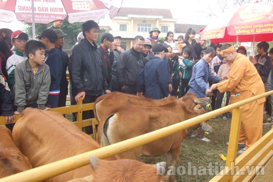 Chương trình Lục lạc vàng trao tặng bò cho người dân Bùi Xá ảnh 1