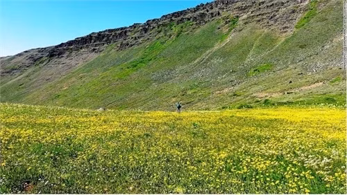 Đường mòn sa mạc Oregon (Mỹ) kéo dài 1.287 km. Nơi đây là địa điểm hấp dẫn cho ai thích khám phá và có đủ sự dũng cảm bởi xung quanh con đường này gần như không một bóng người.