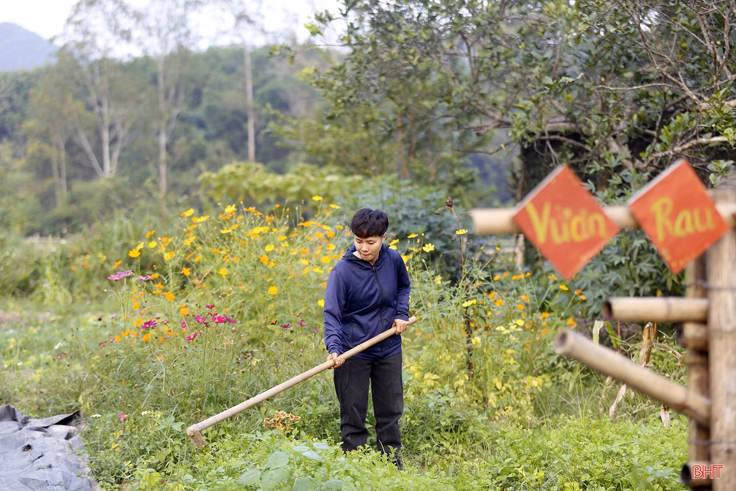 “Khu vườn tử tế” của nữ kỹ sư gen Z người Hà Nội