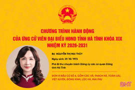 Chương trình hành động của ứng cử viên đại biểu HĐND tỉnh khóa XIX Nguyễn Thị Mai Thủy 