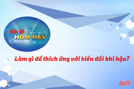 Vấn đề hôm nay: Làm gì để thích ứng với biến đổi khí hậu?