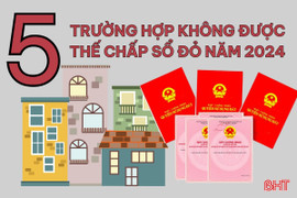 [Motion Graphics] 5 trường hợp không được sang tên sổ đỏ theo Luật Đất đai 2024