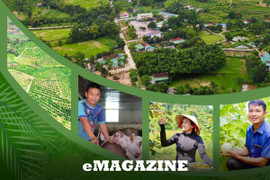 Mai Hoa – Khi đoàn kết trở thành động lực phát triển 