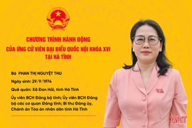 Chương trình hành động của ứng cử viên ĐBQH Phan Thị Nguyệt Thu: Tập trung giám sát việc thực hiện các chủ trương, chính sách lớn của Đảng và Nhà nước 