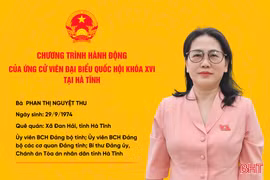 Tập trung giám sát việc thực hiện các chủ trương, chính sách lớn của Đảng và Nhà nước 