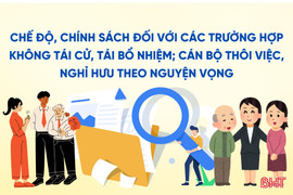 Chế độ, chính sách đối với các trường hợp không tái cử, tái bổ nhiệm theo Nghị định 177