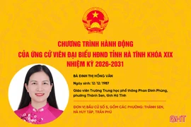 Chương trình hành động của ứng cử viên đại biểu HĐND tỉnh Đinh Thị Hồng Vân