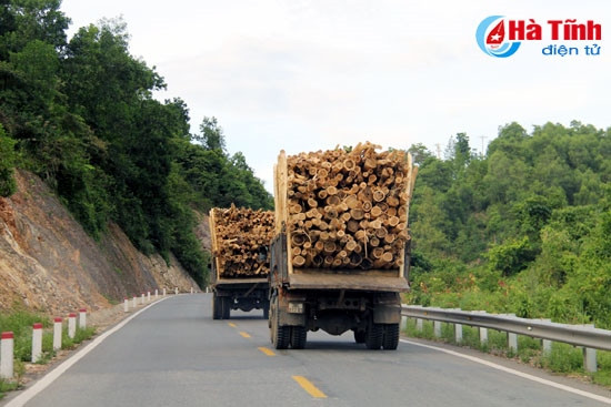 Mối họa từ hàng ngàn ô tô quá hạn kiểm định vẫn lưu hành! ảnh 2 Mối họa từ hàng ngàn ô tô quá hạn kiểm định vẫn lưu hành! ảnh 2