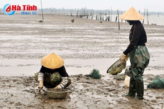 ... gắng nhặt nhạnh một ít ngao còn sót lại ... gắng nhặt nhạnh một ít ngao còn sót lại
