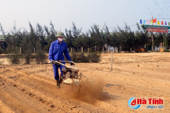 Vụ gối vụ, ngay sau thu hoạch, diện tích canh tác được cày lật đất chuẩn bị mùa sản xuất mới.