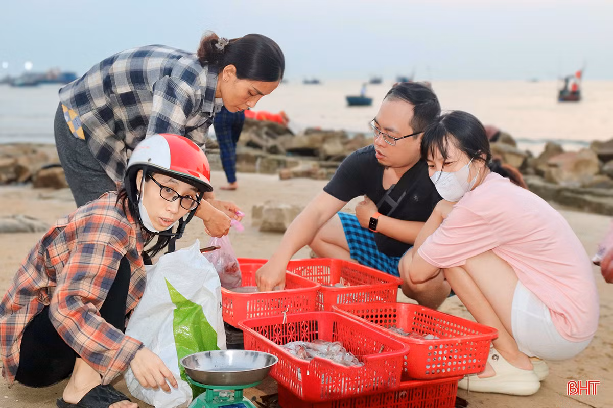 Đến nghỉ dưỡng tại Khu du lịch Thiên Cầm, nhiều du khách cũng không quên ghé bến cá Cồn Gò trải nghiệm phiên chợ sớm cùng bà con ngư dân. Chị Nguyễn Ngọc Hoa (du khách Hà Nội) hào hứng chia sẻ: "Ngoài được ngắm bãi biển đẹp, chúng tôi còn trải nghiệm phiên chợ cá đặc sắc, mang đậm màu sắc địa phương. Sáng nay, tôi đã kịp mua cho gia đình mình một ít mực và cá để về thưởng thức. Đây quả thực là chuyến đi ý nghĩa và đầy kỷ niệm đối với gia đình”.
