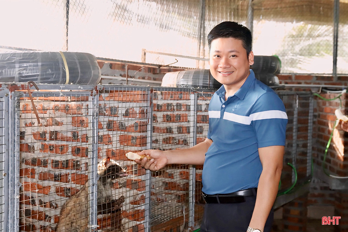 z5219153575457_1187b3244a6369330fa960004ca12557 copy.jpg