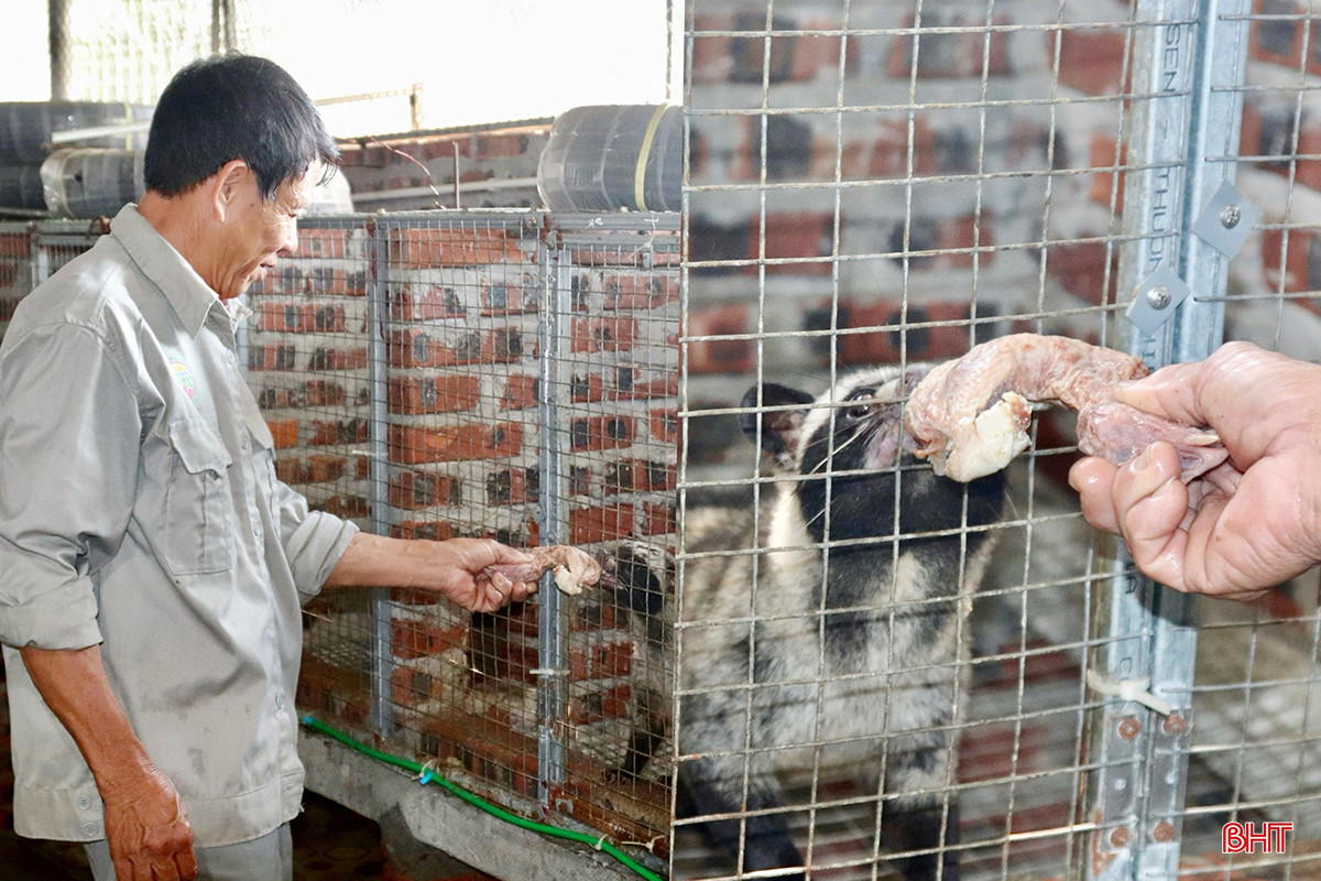 z5219244172631_42681c7383d9f7059405675066bfb355 copy.jpg