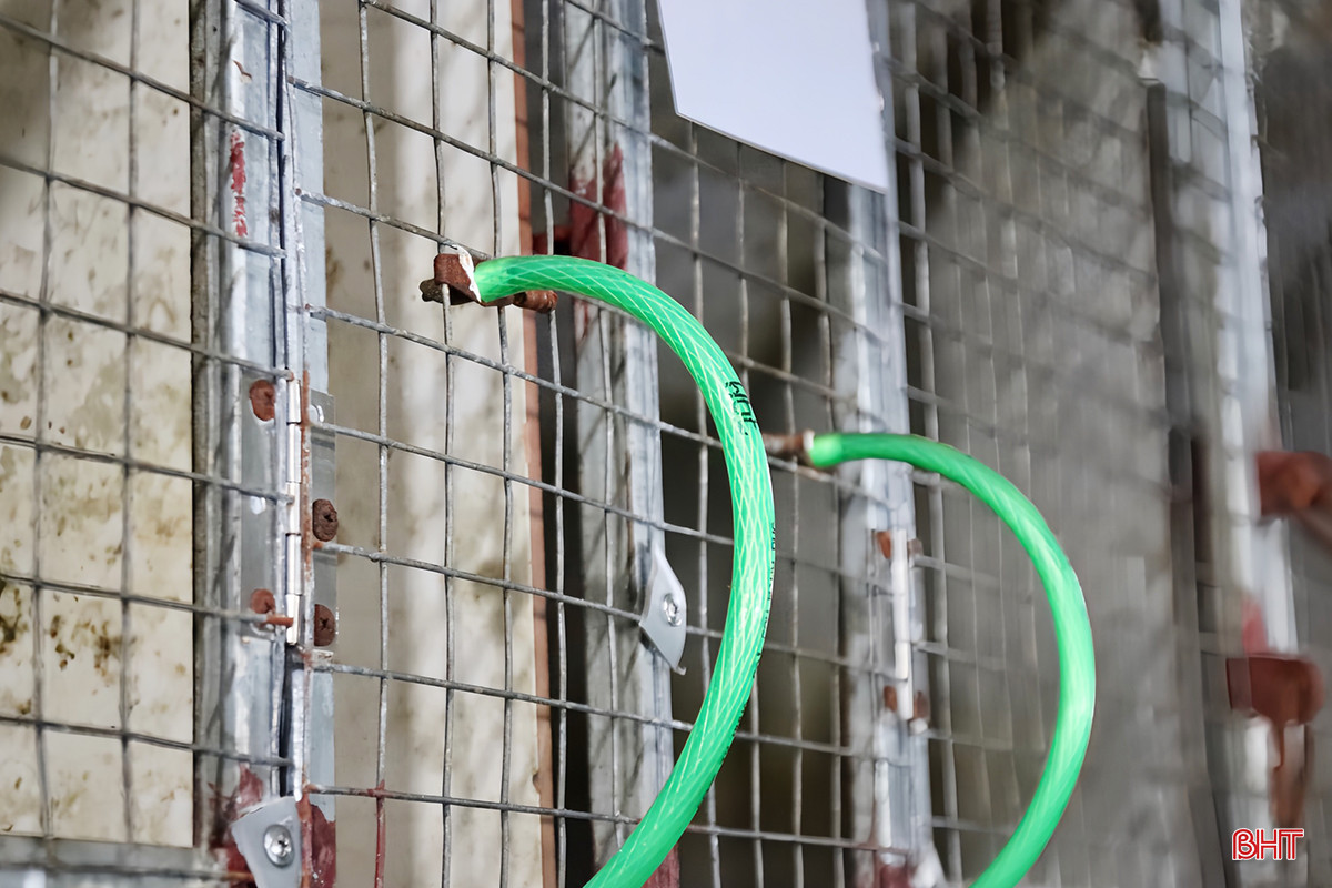 z5219541136451_88f470e47501d7e020b1473e15236464 copy.jpg