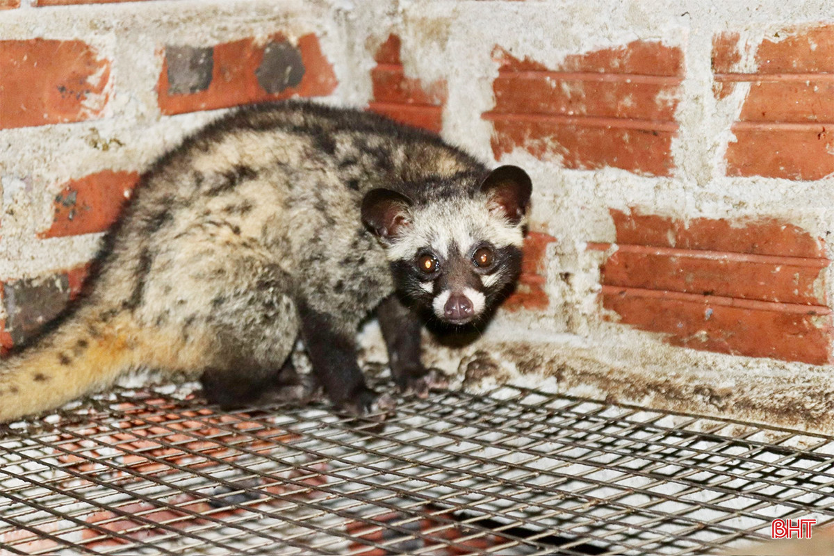 z5219244162527_cc41a95771ecee9e2830da9145a7e319 copy.jpg