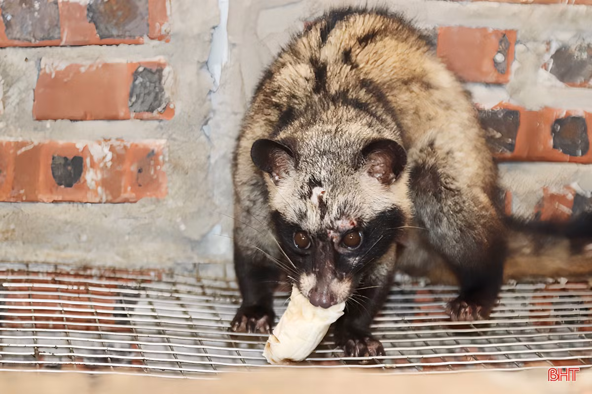 z5219541145453_000eab2bfa0f88bacf1e76c169dfddde copy.jpg