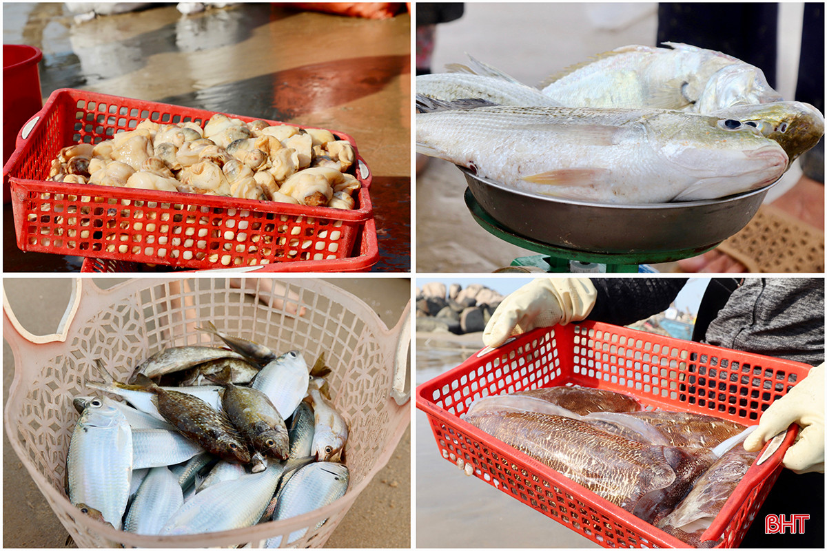 A4AE1309-DEF9-4ACF-B777-F3C7E9F9C5C7 copy.jpg