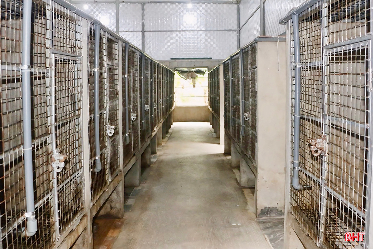 z5338943000959_988d9189085d9be20d0dfadcab5b1f79 copy.jpg