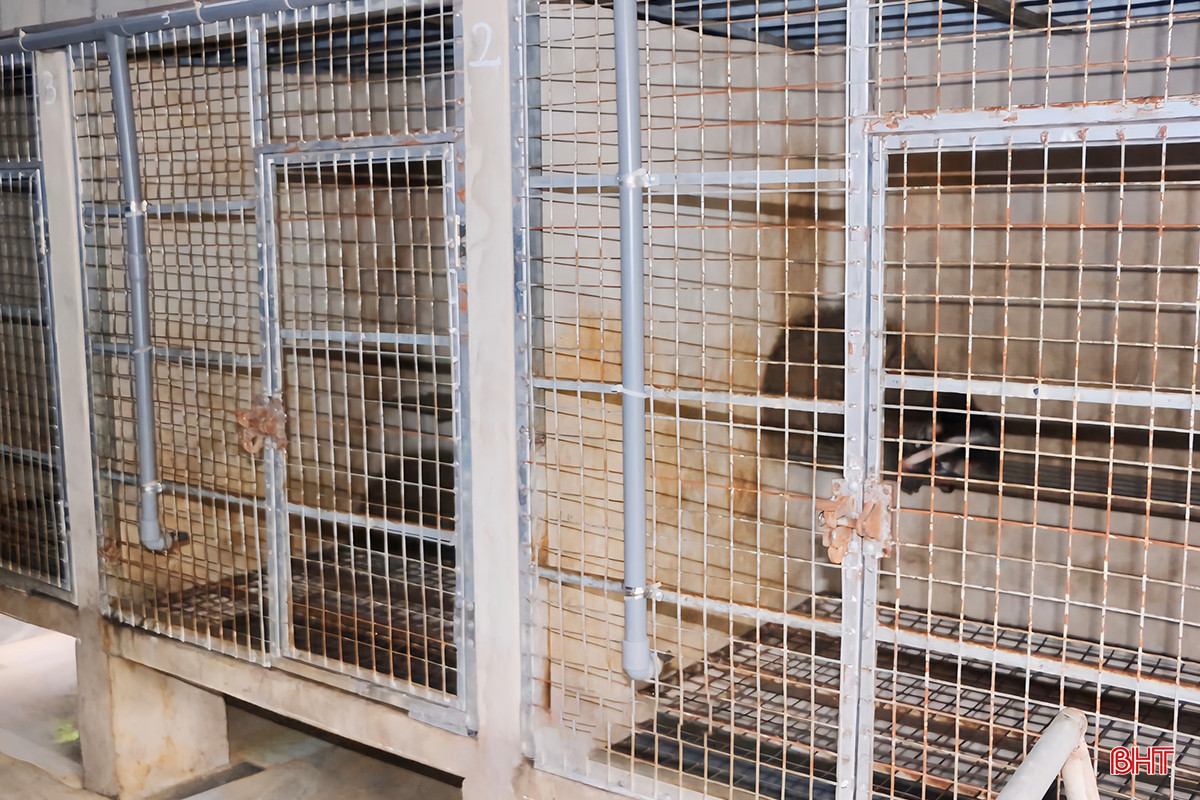 z5339059149803_80e30d07ba0824c806fe53b1ec334a33 copy.jpg