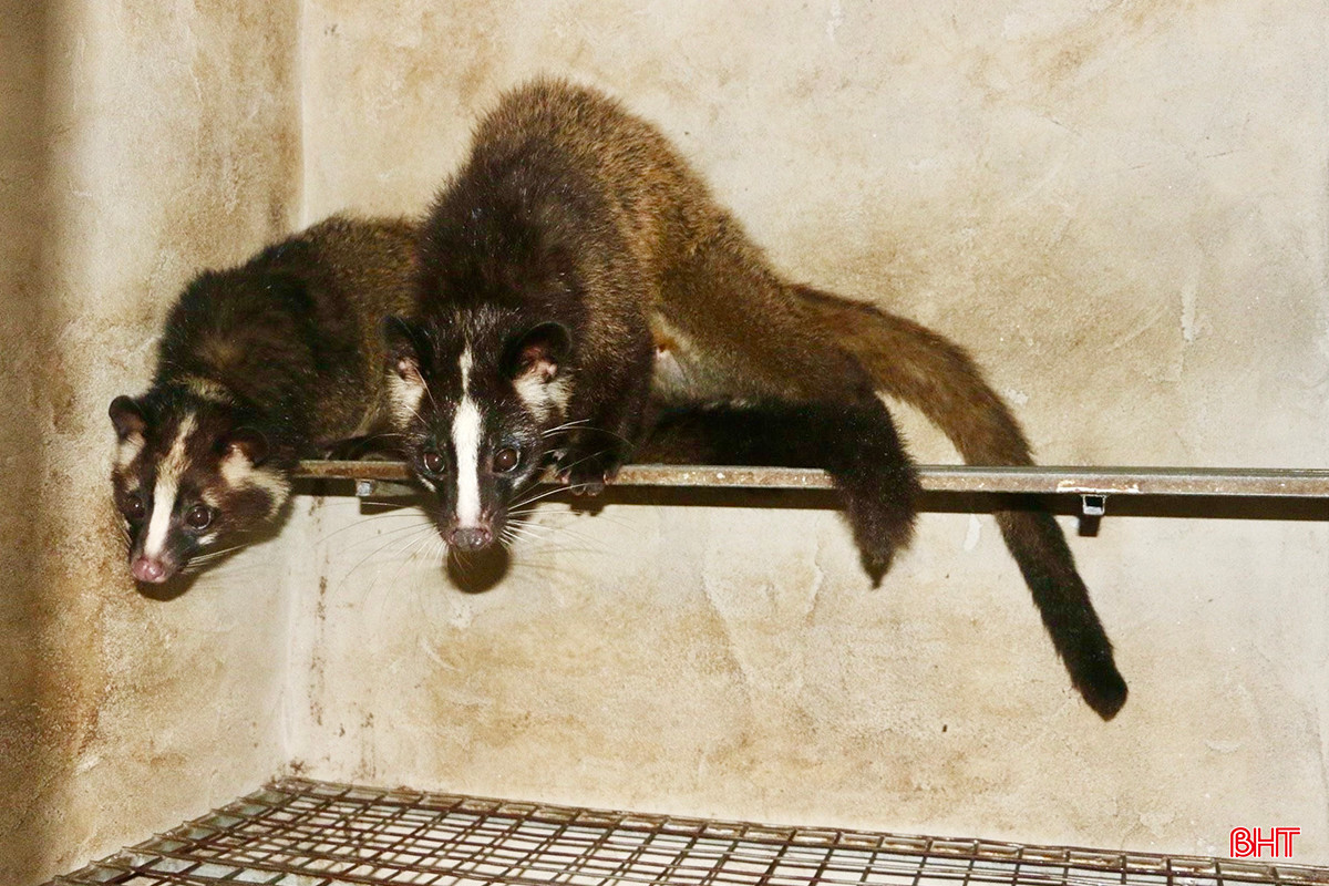 z5338942994243_e599fc866f264c20e37d3fd5d33a18b2 copy.jpg